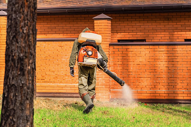 Trusted Fumigation Services service in Haines, AK - Nex Pest Control